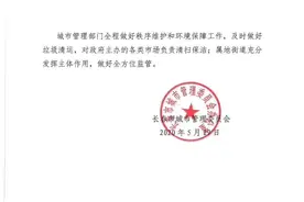 长春城市管理出新政！地摊、夜市、大排档可以搞起来了图片