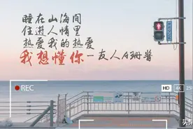 等不到的晚安别等了，请早一点收场”图片