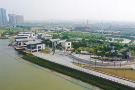 年薪最高80万！南沙这两所科研单位招人啦图片