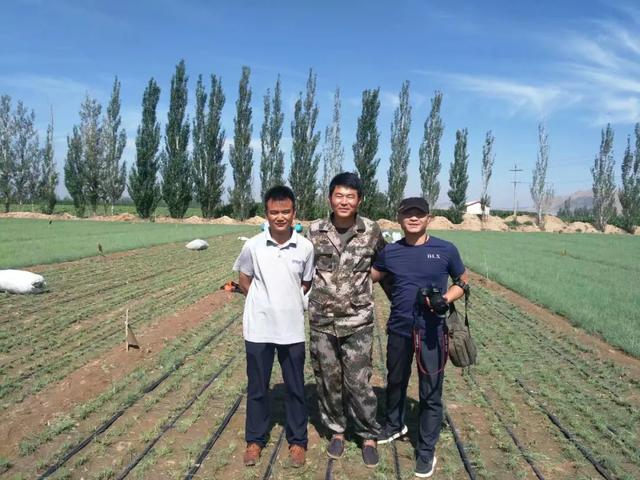 50元一斤！亏100多万也要种的“天价”葱，真的赚钱吗？