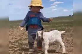 孩子跟小羊成为朋友，看到他俩的日常后，网友直呼：令人感动图片