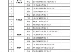 全市仅两家！莒南两企业入选全省“十强”产业集群领军企业图片