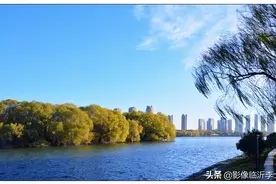 临沂祊河，冬日暖阳，胜似春光图片