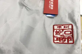 球衣DIY制作之——队徽（刺绣篇）图片