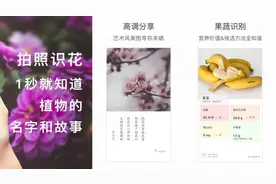 7个冷门但是超级好用的手机APP图片