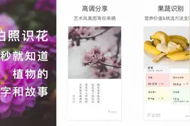7个冷门但是超级好用的手机APP图片