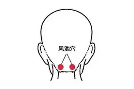 要想长寿，一定要泻肝火：5大妙方能泻火疏肝图片