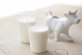 抗疫营养之一：牛奶乳清蛋白图片