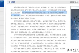 错失关键6年地产仍是主业 苏宁环球坐吃老本“转型”为40亿小房企图片
