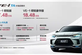 换大表盘，升级续航，广汽本田新款VE-1 TA图片