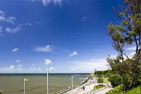 布里斯班最时髦得城市图片