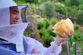 50多次出入火场救人，又会养蜜蜂，还是个帅主播！这个90后小伙子能干的图片