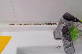 水槽和马桶周围总是发黑？别用钢丝球擦！用这2种办法，轻松去除图片