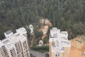 开窗见墓！业主直呼太瘆人，面对殡葬改革问题当地这样解释图片