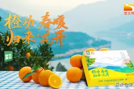 橙功归来 春暖花开图片