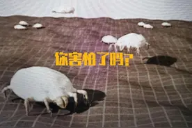 家里的床单和被套多久换一次才卫生健康，你做对了么？图片