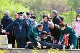 太原迎泽公园牡丹园里：老者晕倒 众人急救图片