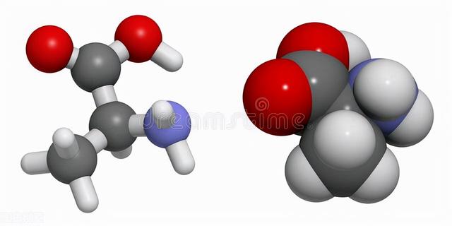 2021-2025年丙氨酸产能集中度较高 华恒生物是行业领先企业