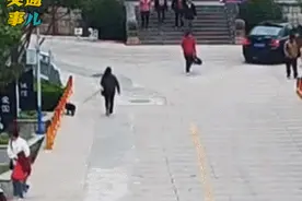 一组动图警示你：又是不拉手刹，这样的低级错误真是害人害己！图片