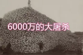 先杀你6000万头到灭绝，然后再列为国兽，这种操作很美国图片