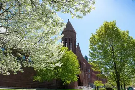 美国前50大学在中国的招生，相当于三所“985大学”图片