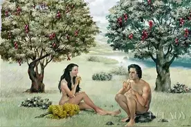 造人全过程，别不好意思看！也不要多想图片