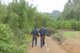 七旬阿婆上山挖笋，深夜被困深山，情况十分危险……图片