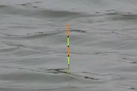 经典钓位之下风口，攻略和要点详解，掌握后渔获一定不会差图片