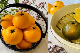 震撼的馒头形状，惟妙惟肖图片