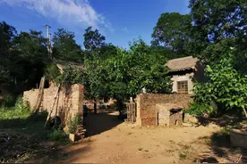 寂寞山寨，暖暖孝道，一位山东上门女婿在山西大山深处的坚守图片
