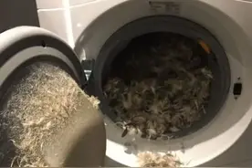 奇葩瞬间：25个最倒霉的经历，看完不厚道的笑了哈哈哈哈哈哈哈图片