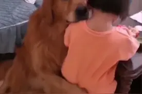 萌娃犯错被妈妈训，狗狗开启“护犊模式”，妈妈：我从不敢打孩子图片