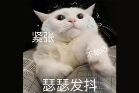 接近一半学生读不了普高，那么在职高里，到底是一种什么景象？图片