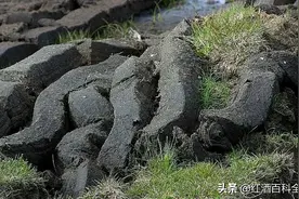 泥煤味揭秘：威士忌界的「榴莲臭豆腐」图片