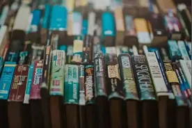 双语教育的好处，1+1>2图片