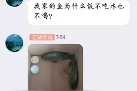 搞笑段子：老公出差要半个月才回来，我用小号加了他，故意试探他图片