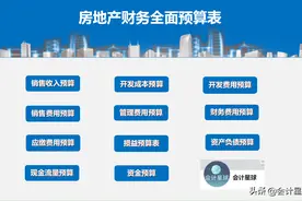 房地产全面预算太复杂？年薪48万财务经理用表格轻松破解行业难题图片
