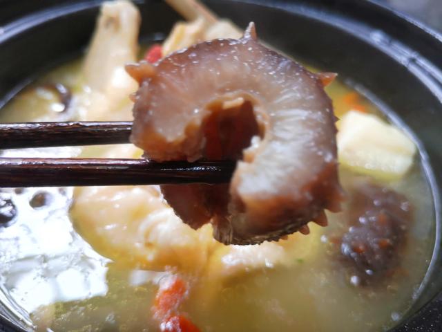 海参花胶老鸡汤 海参花胶鸡汤的做法与功效