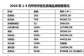2020年1-5月钦州市各区县商品房销售情况已出，快来围观图片
