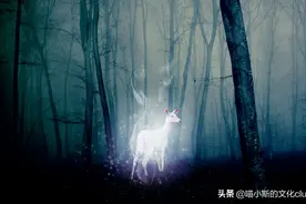 《哈利·波特》：为什么斯内普的守护神是牝鹿，詹姆是牡鹿？图片