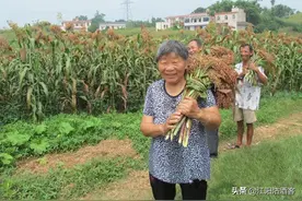 泸州西大门，沱江汇入长江江阳区的最后一个镇，通滩图片