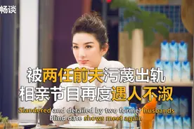 2段婚姻5段感情 从“李玉湖”到黄奕 她的吸渣男体质实在太强图片