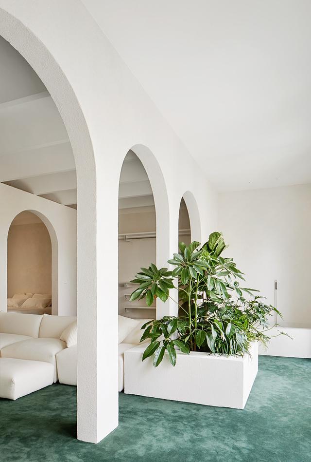 （案例）制约成就有趣的平面分割，系列弧形门公寓