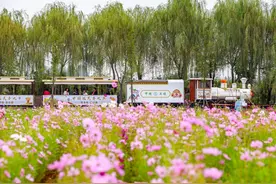 第九届兰陵（苍山）菜博会开幕!这些精彩千万别错过……图片