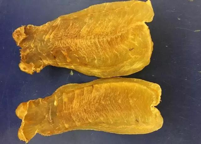 那种海鱼是割花胶 花胶是海鱼做的吗