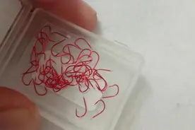 野钓时鱼钩刺肉，千万不要硬拔，你可以这样处理图片