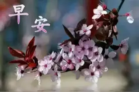 真正的陪伴，经得起坎坷，经得起平淡，早安图片