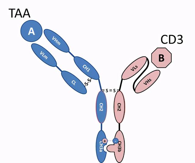代表性双抗平台盘点
