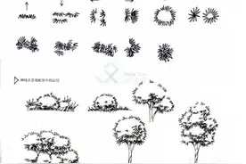 单体植物很难画？分步骤图解示范教你，适合0基础学习，一看就会图片