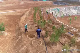 慕云山由秃变绿，太原蹚出“治山”新路子图片